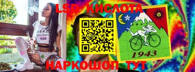 гидра Тара