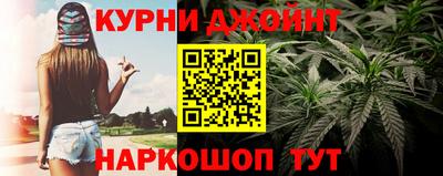 гидра Тара