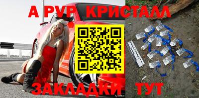 гидра Тара