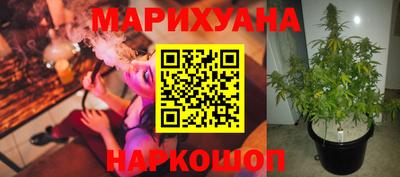 гашик Татарск