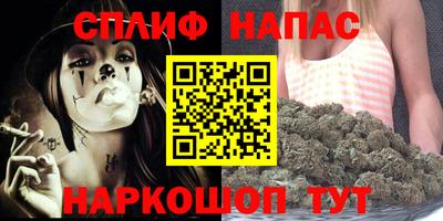 гидра Тара